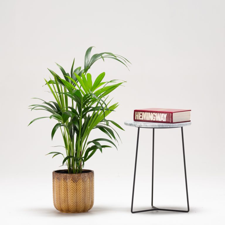 Environment