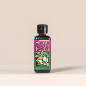 Houseplant Focus