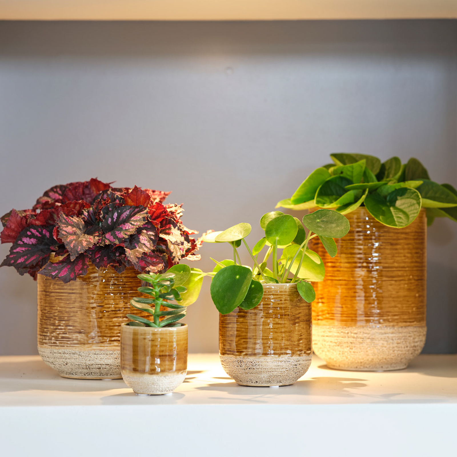 Embracing the Afternoon Rays: West-Facing Windows