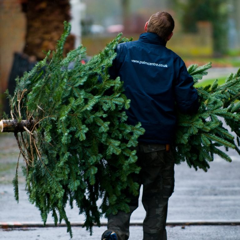 We're Open 7 Days a Week in December