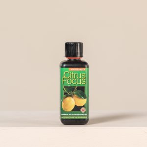 Citrus Focus
