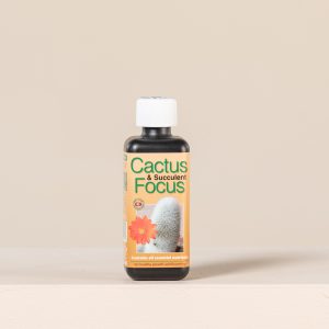 Cactus and Succulent Focus