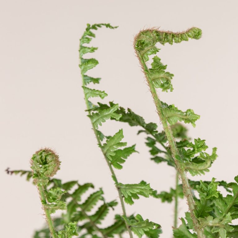 Care & Size Guidance