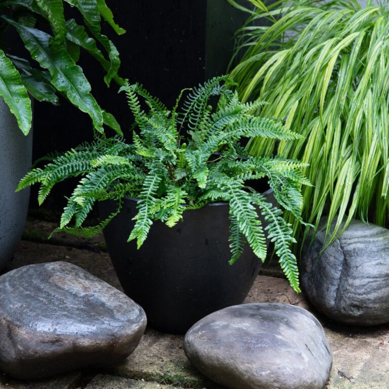 Overwintering