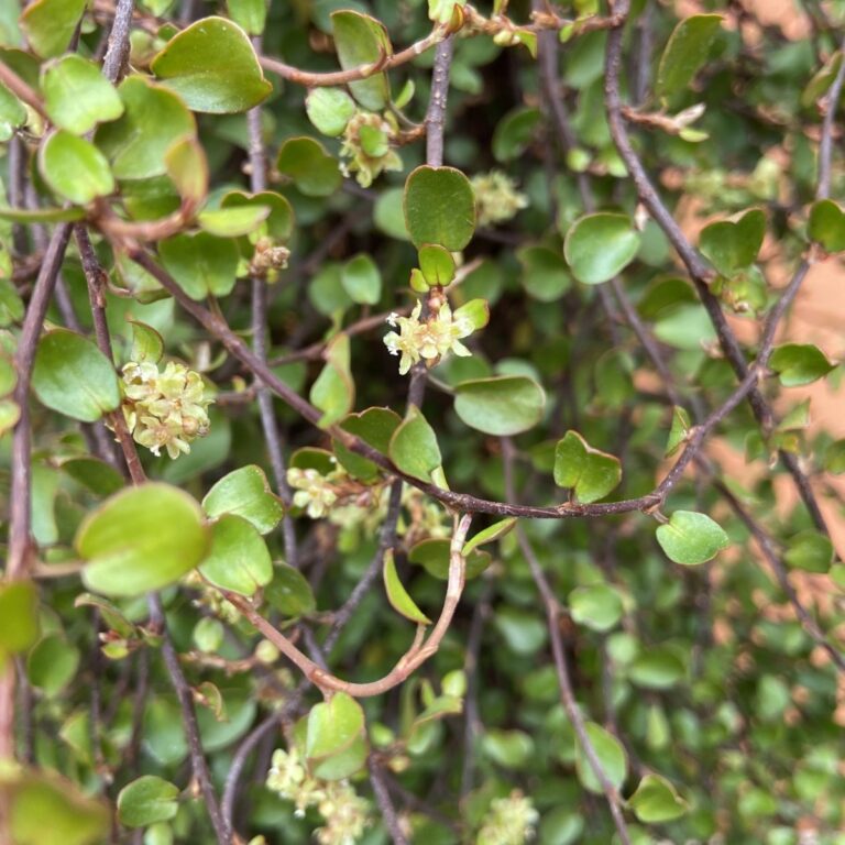 Propagation