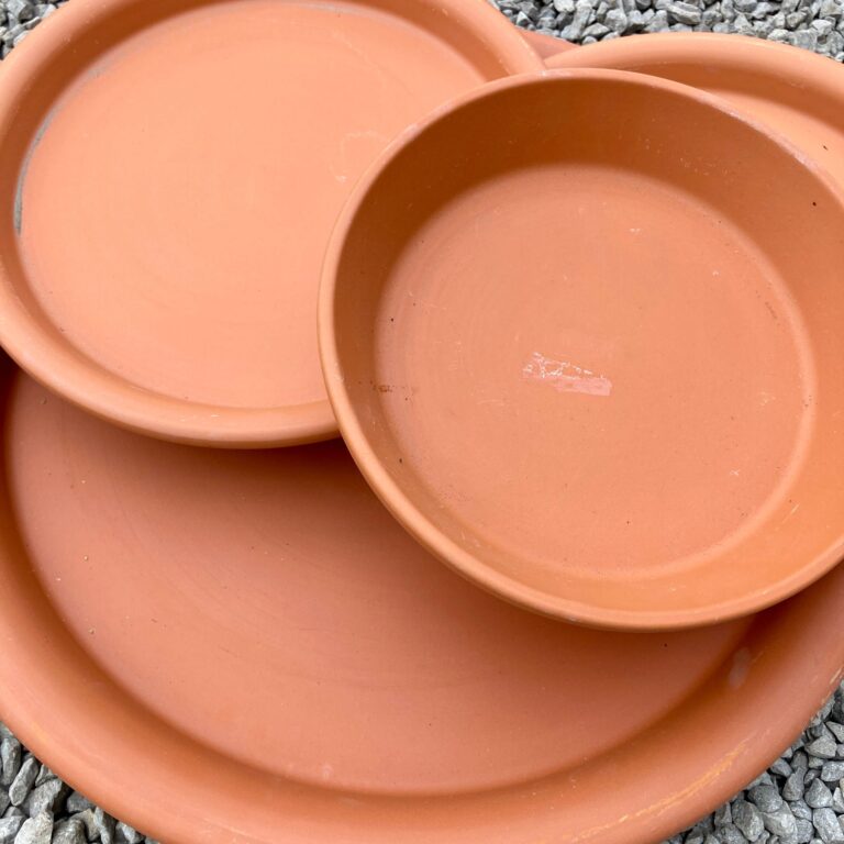 Remove saucers in winter