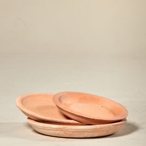 Saucer