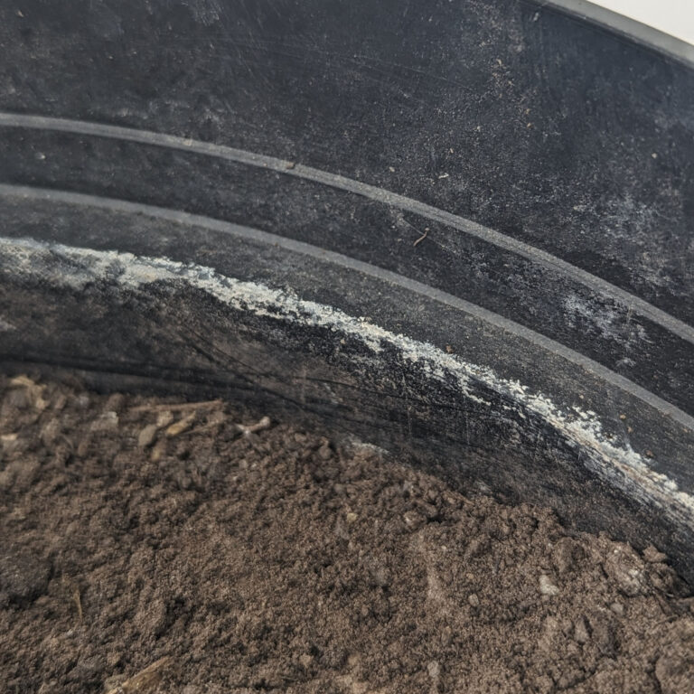 Fertiliser burn
