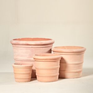 Vetralla Antique