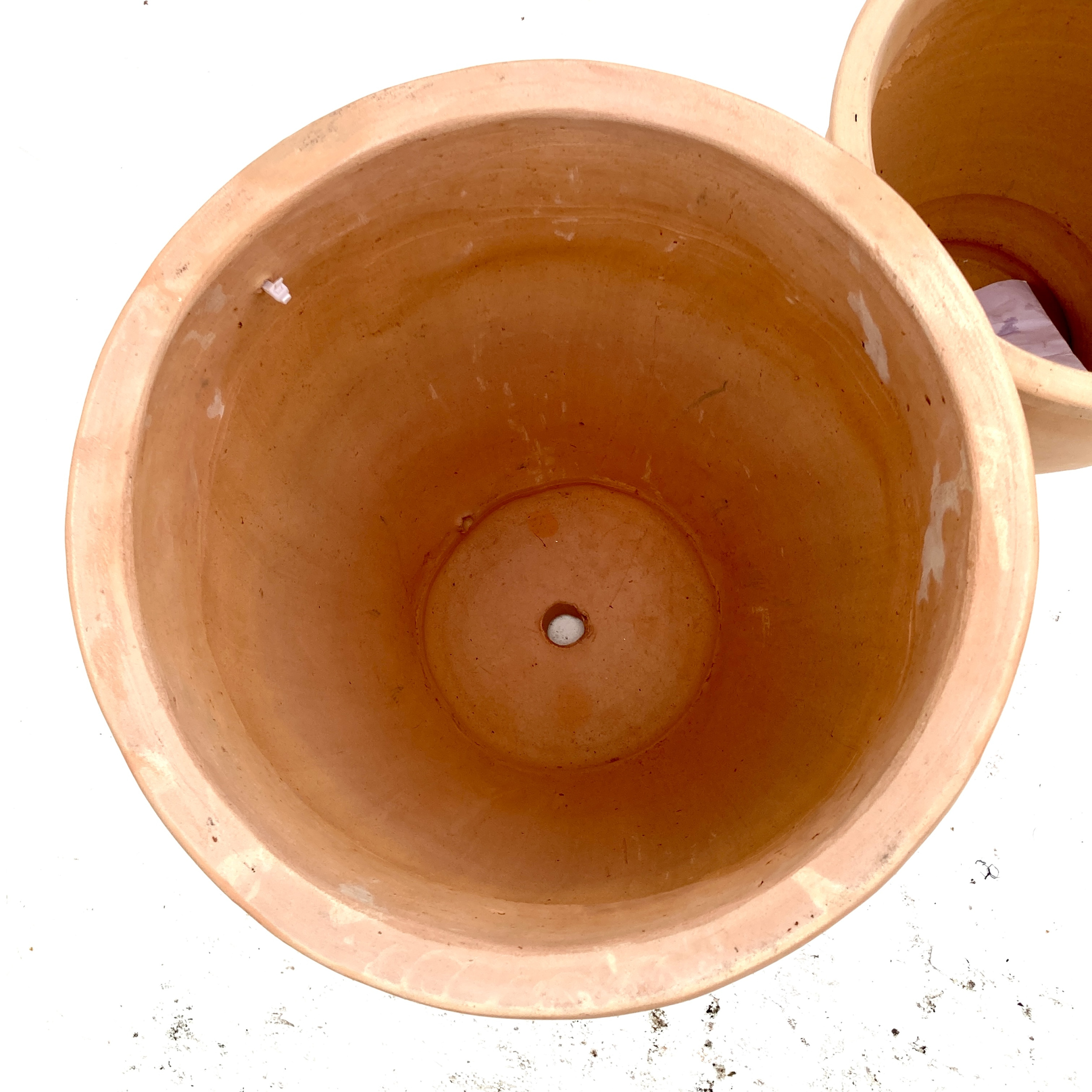 TS-PISA Pisa Pot Terracotta Antique