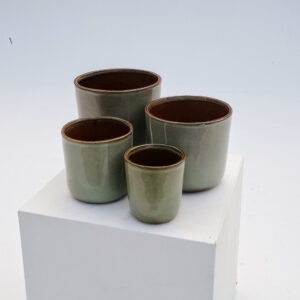 Indoor pot Hedy - Thyme