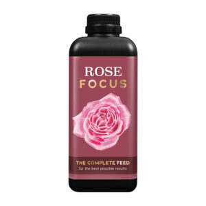 ROS-FC Rose Focus
